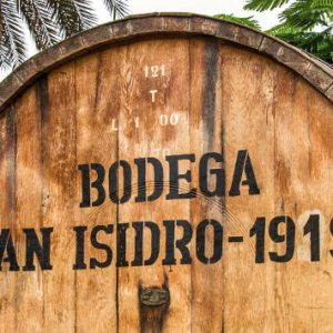 Bodega San Isidro Barrel
